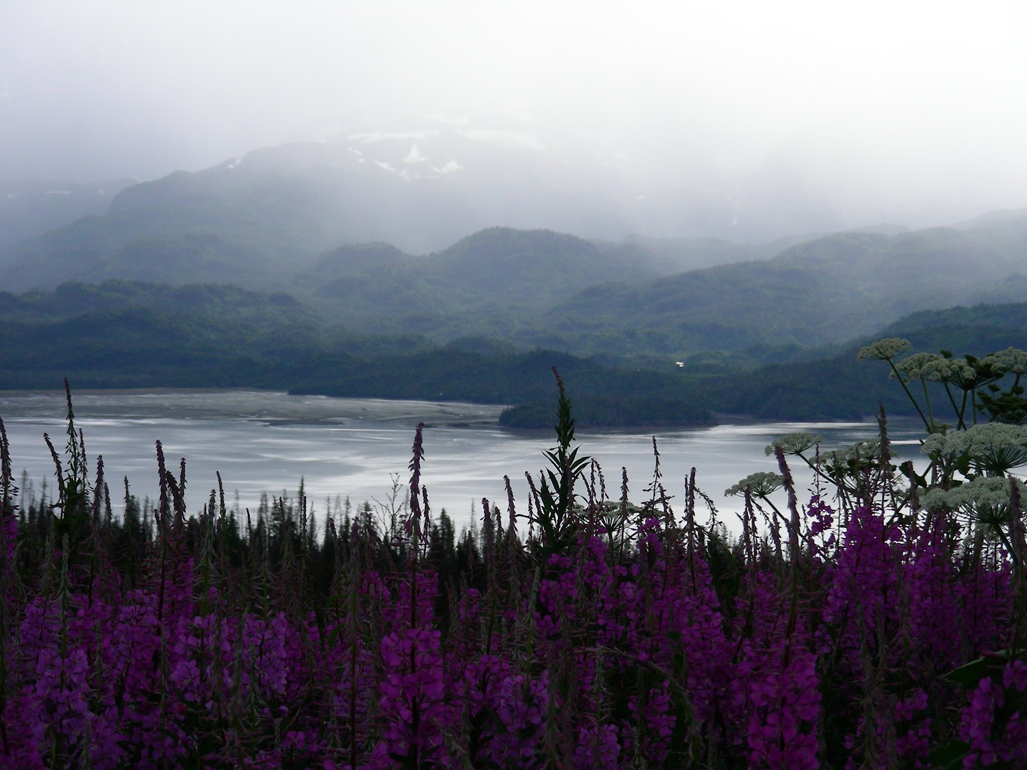 Chugach National Forest Management Plan Monitoring Program   HNv6 IMFreqZNhbXOzPsJ 